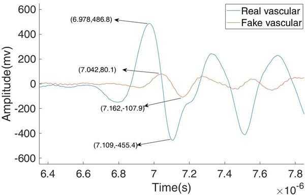 真假血管圖像的光聲信號