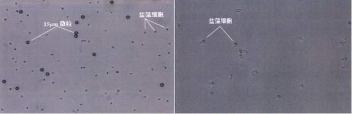 功率放大器